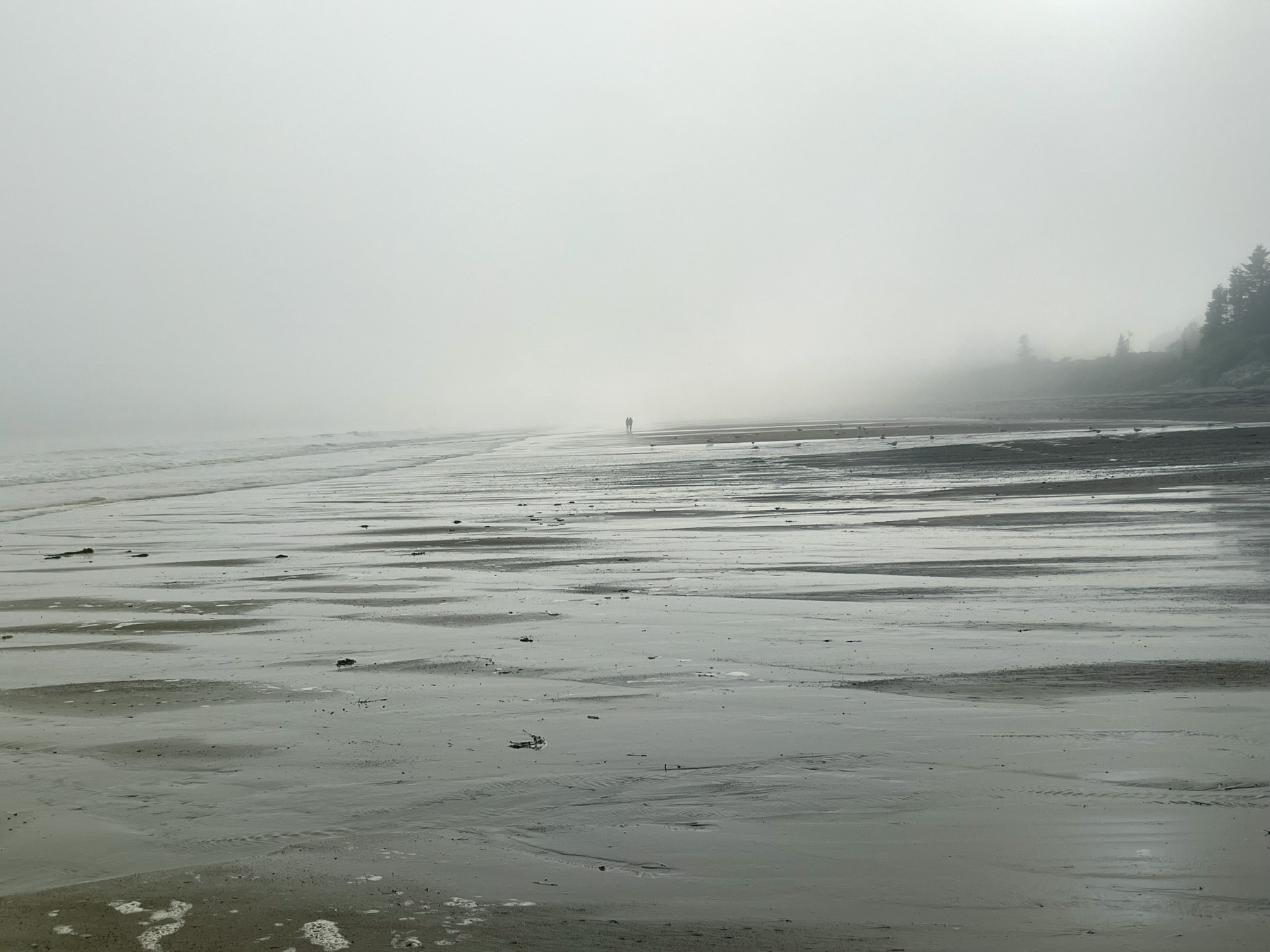 New River Beach in New Brunswick, photograph by Brad Davis JULY 2024